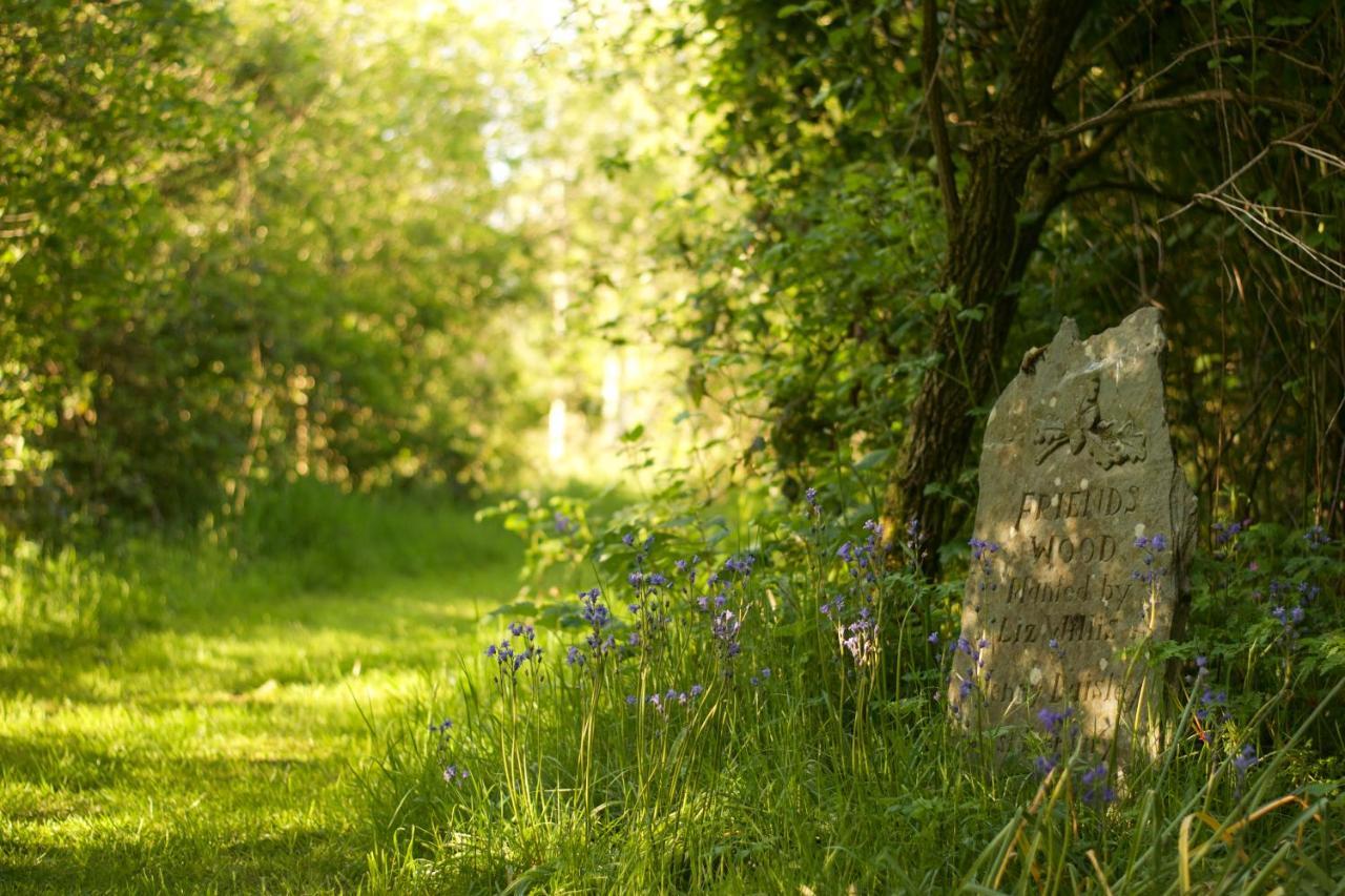 Bed and Breakfast Holwell Holistic Retreat Barnstaple Esterno foto